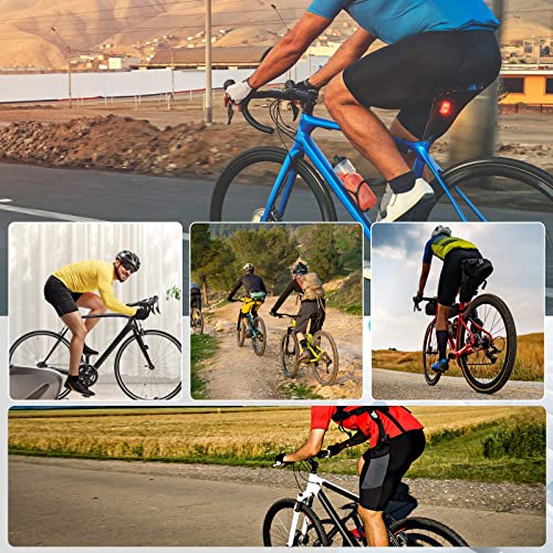 Bike Shorts: Cycling & Road Bike Shorts (Gel/Padded)